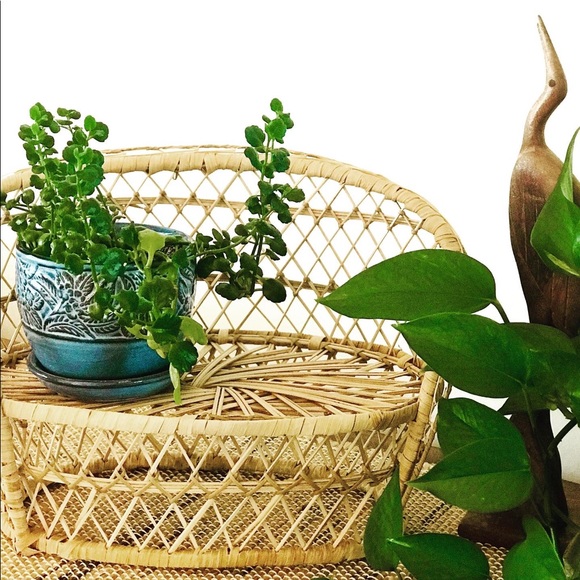 Wicker planter or doll furniture